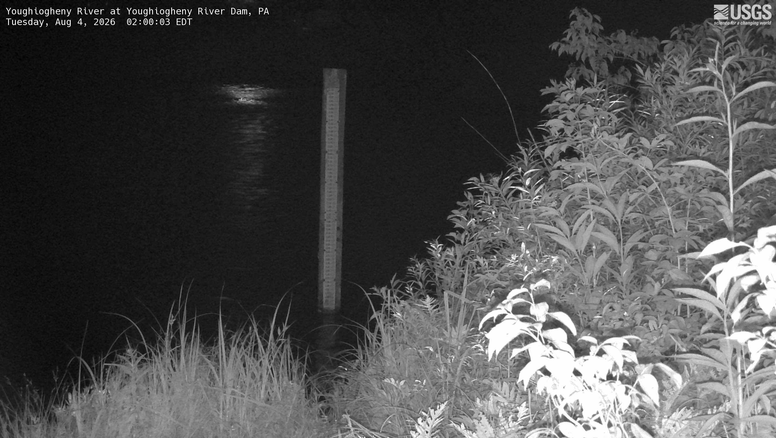 Most recent image at Youghiogheny River at Youghiogheny River Dam