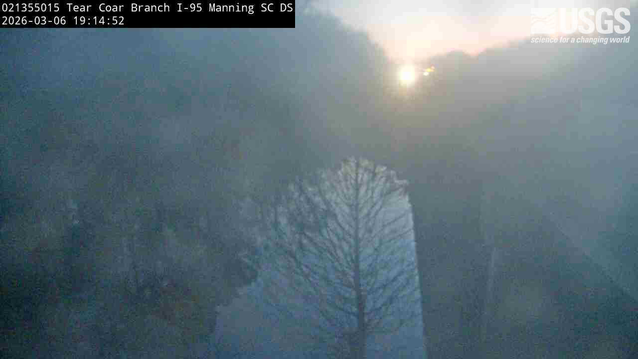 USGS HIVIS CAM Tearcoat Branch at I 95 near Manning DOWNSTREAM CAMERA