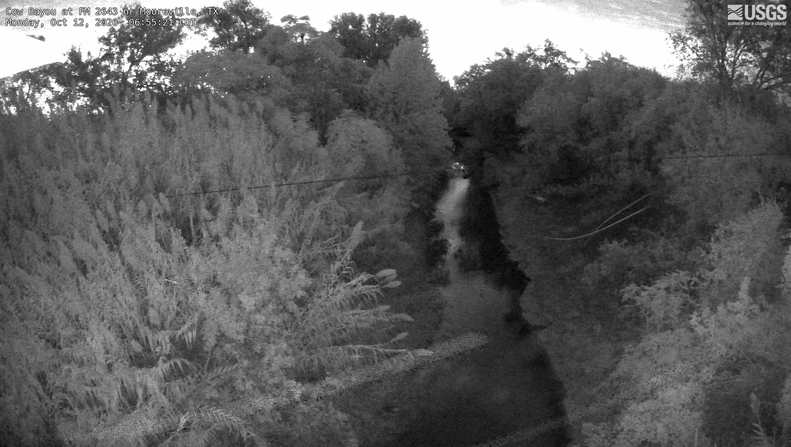 Most recent image at Cow Bayou at FM 2643 nr Mooreville