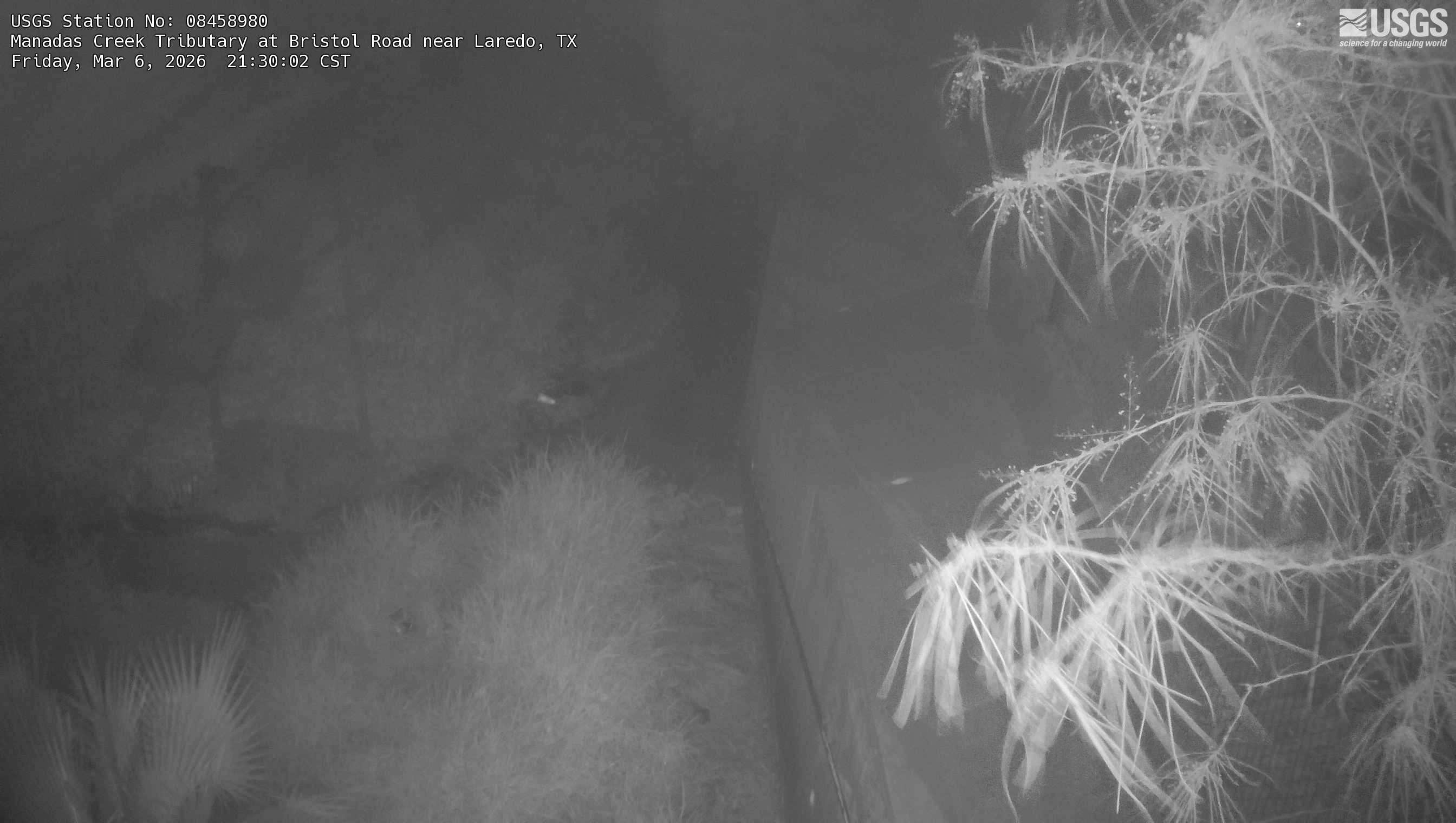 USGS HIVIS CAM Manadas Creek Tributary at Bristol Road near Laredo