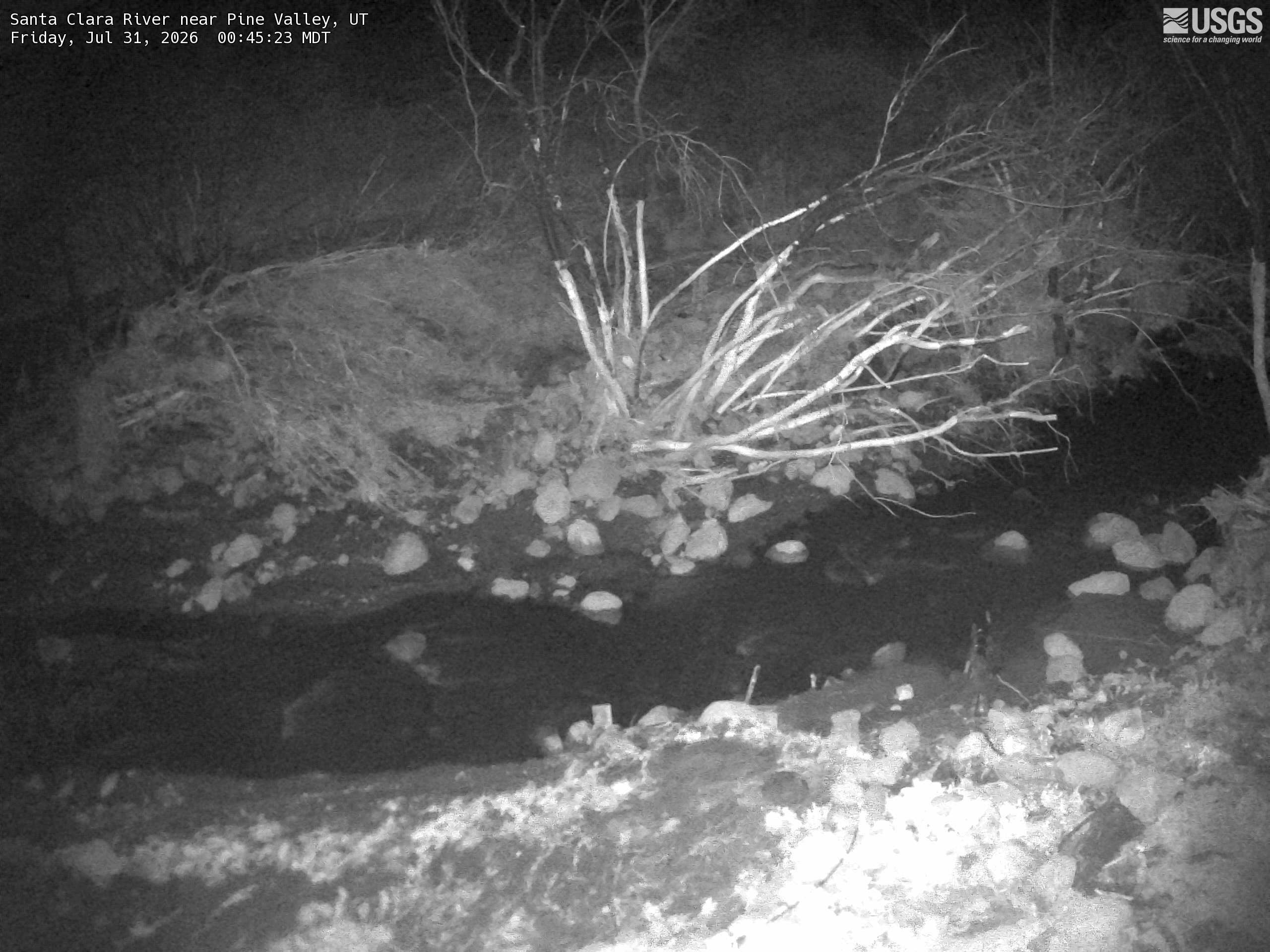 Most recent image at Santa Clara River near Pine Valley