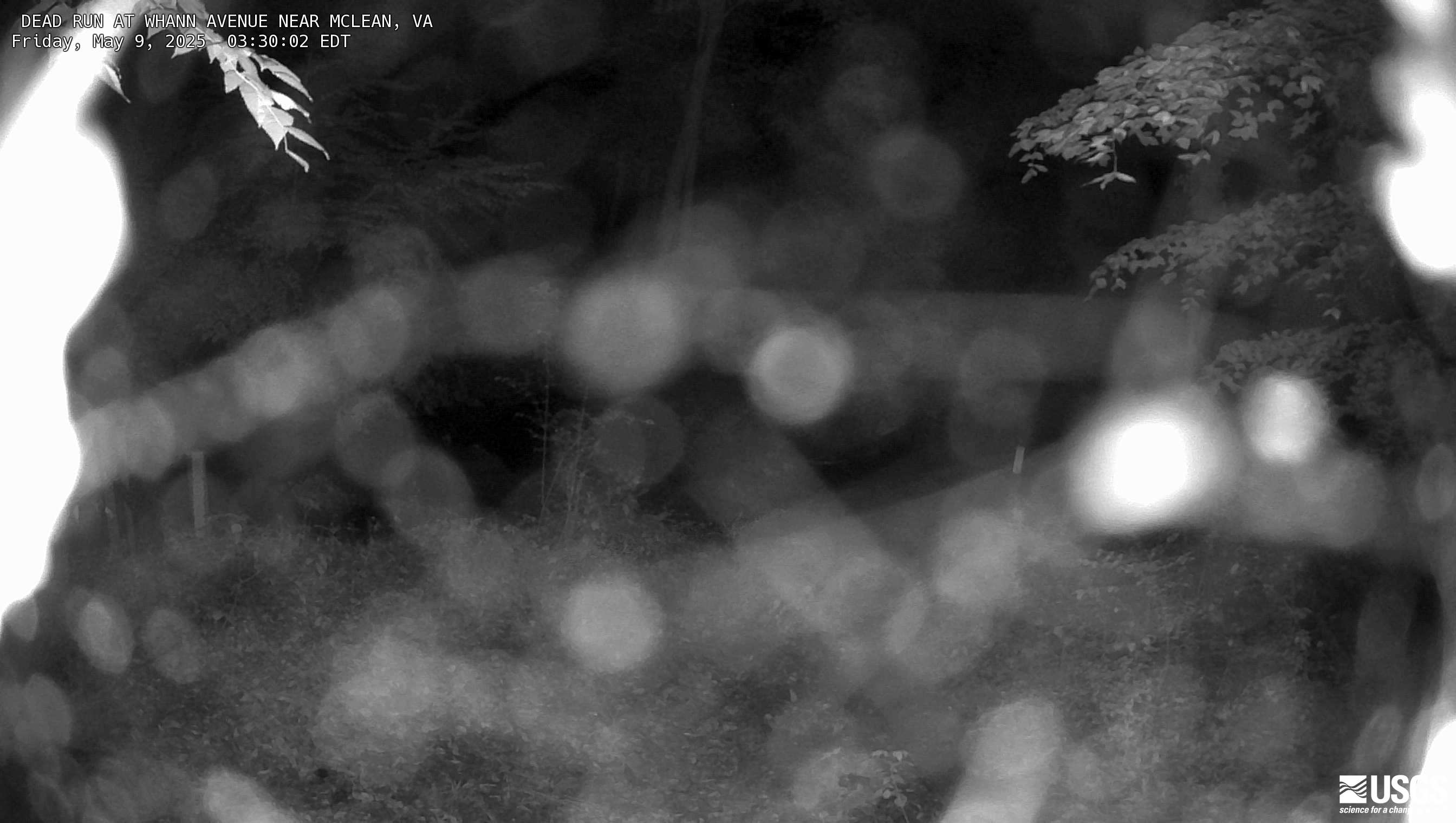 Most recent imagery of the Dead Run stream in Fairfax VA