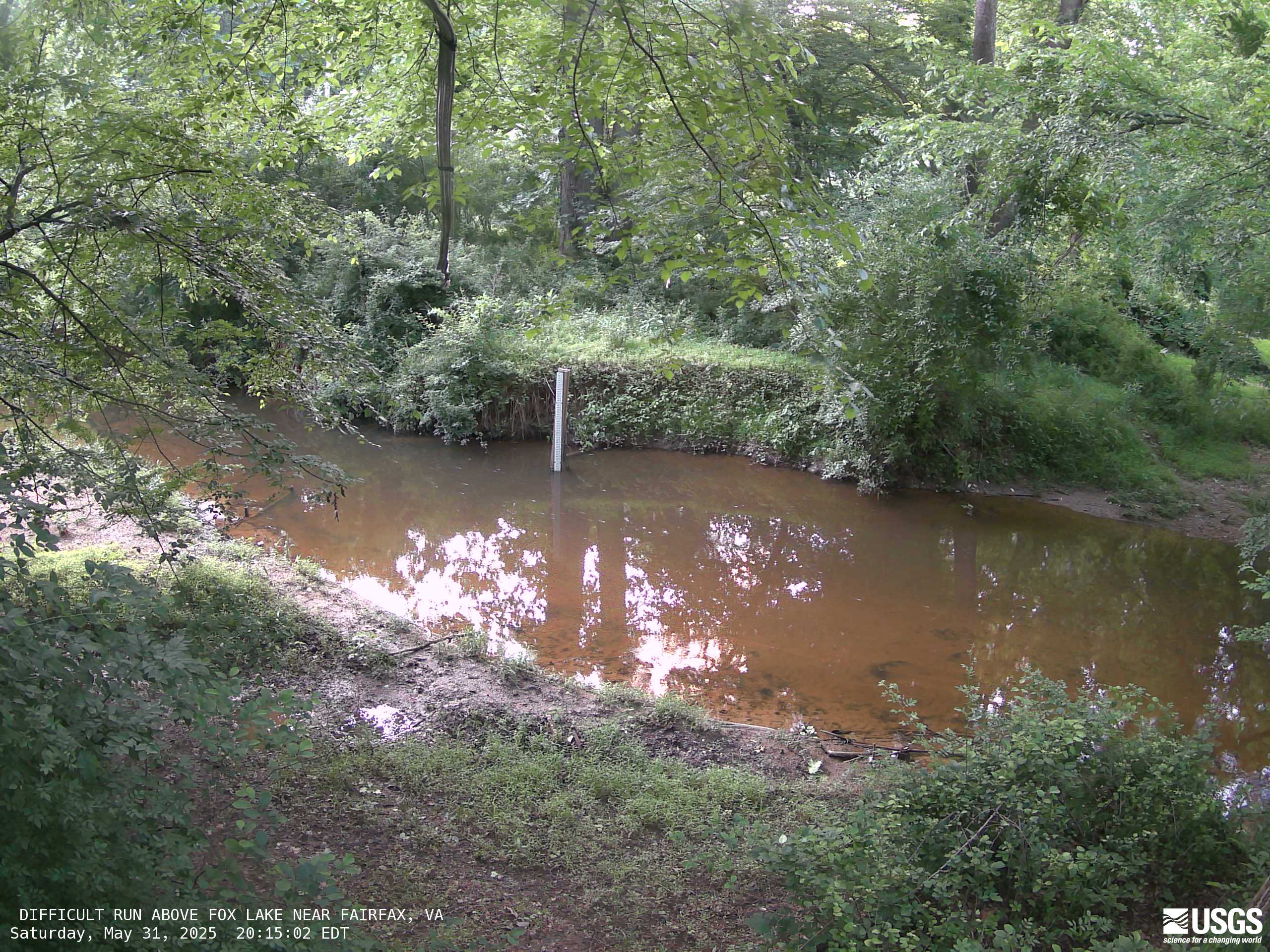 Most recent imagery of the Difficult Run stream in Fairfax, Virginia