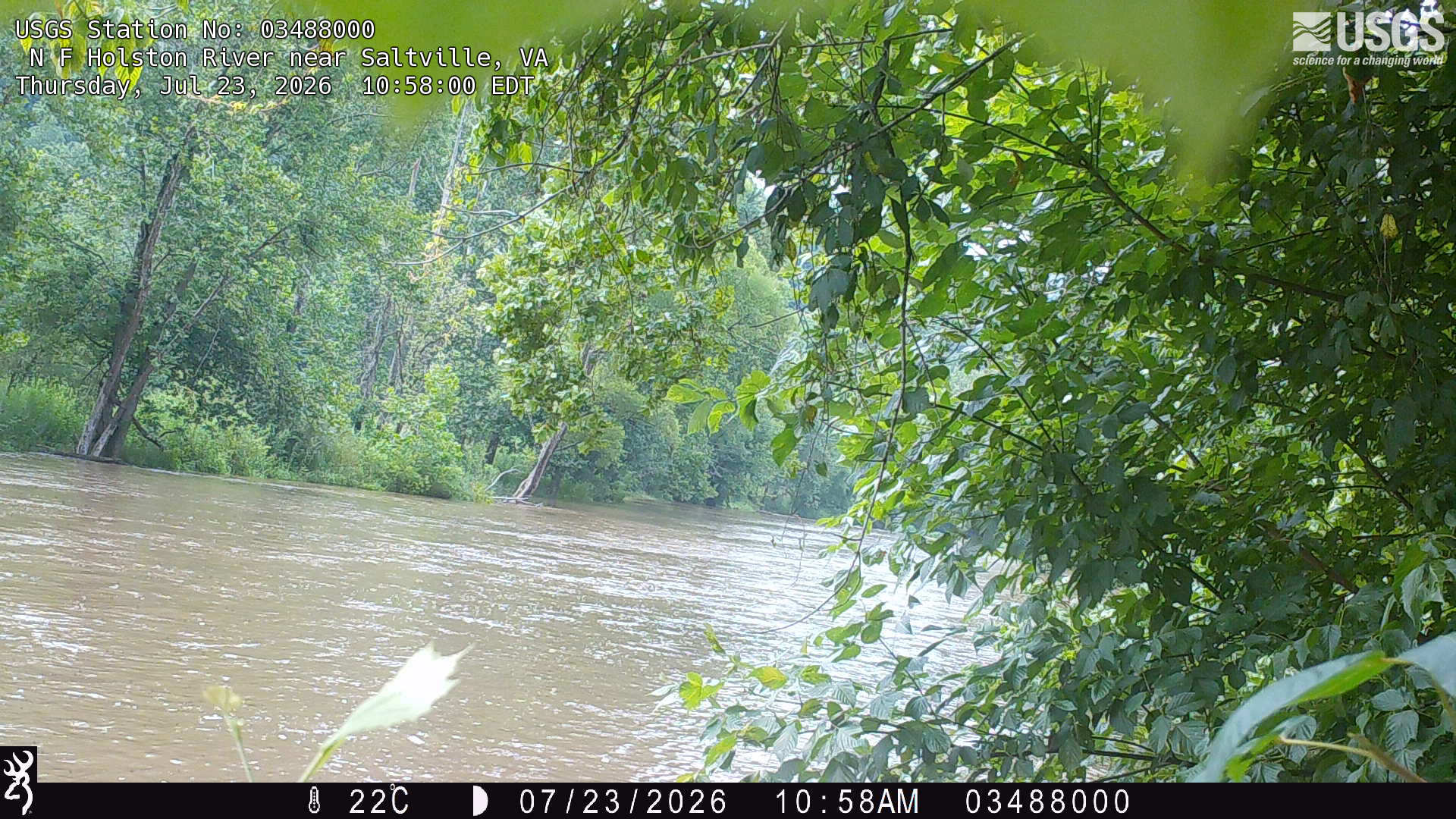 Most recent image at N F Holston River near Saltville