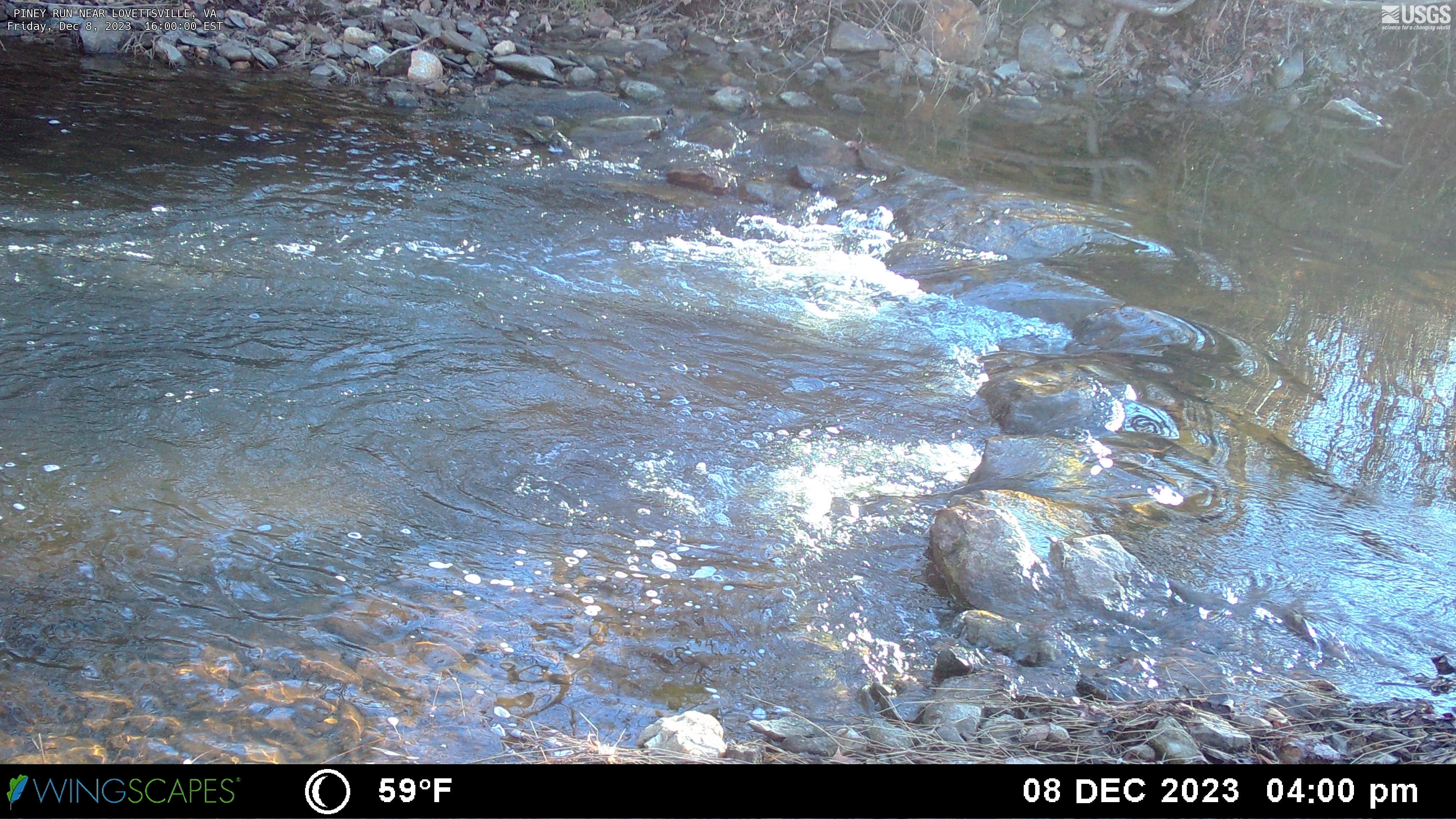 USGS HIVIS CAM PINEY RUN NEAR LOVETTSVILLE