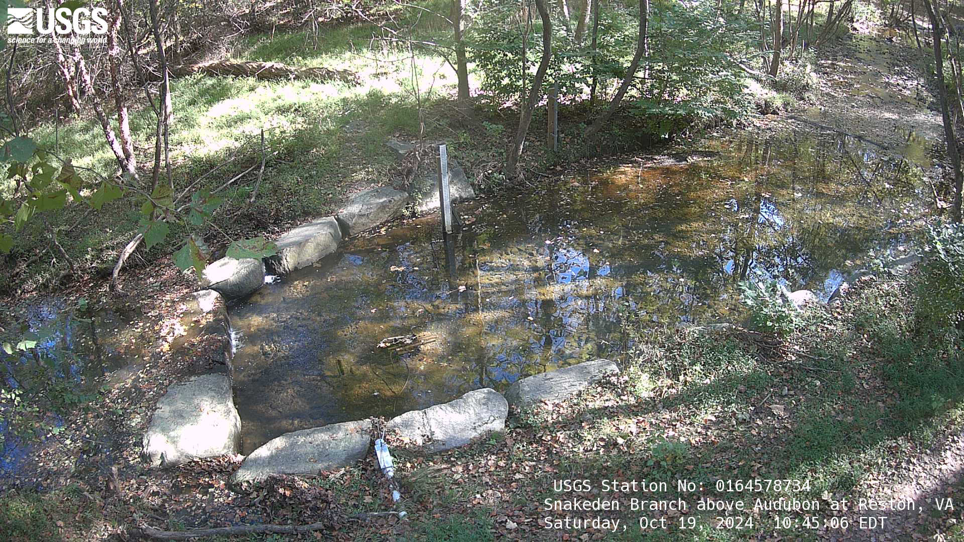 Most recent imagery from Snakeden Branch in Reston, Virginia