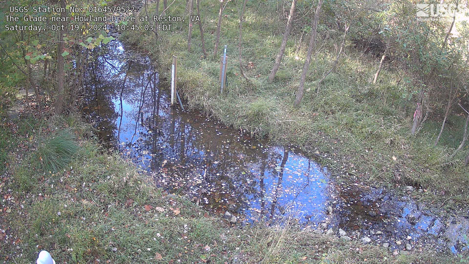 Most recent imagery of The Glade, a stream in Reston, Virginia