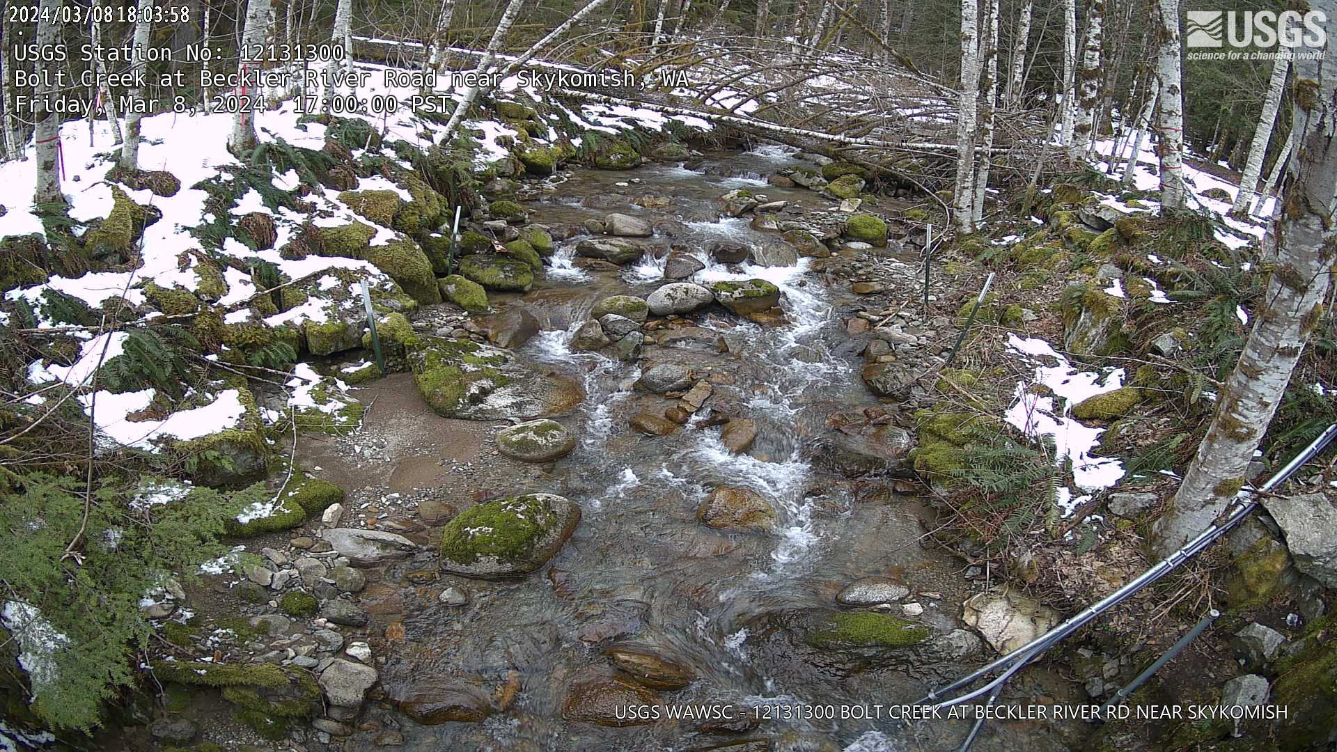USGS HIVIS CAM Bolt Creek at Beckler River Road near Skykomish