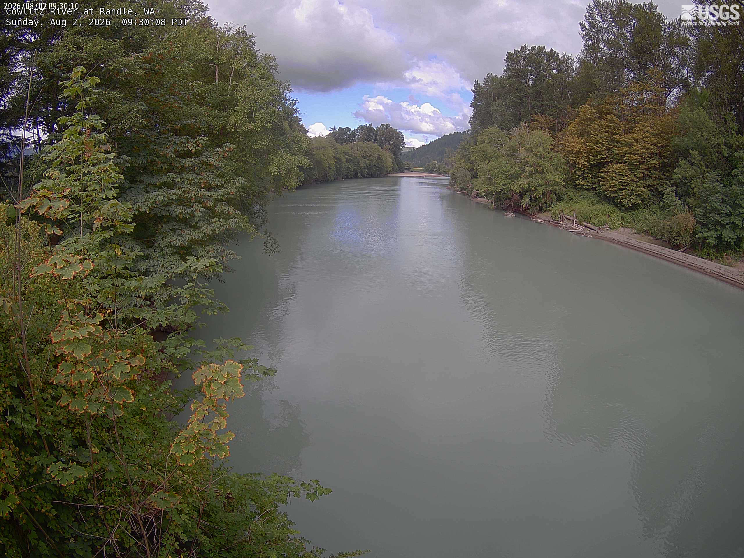 Most recent image at Cowlitz River at Randle
