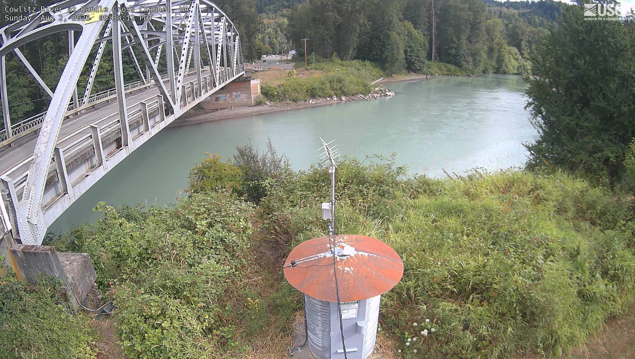 Most recent image at Cowlitz River at Randle Cross Channel