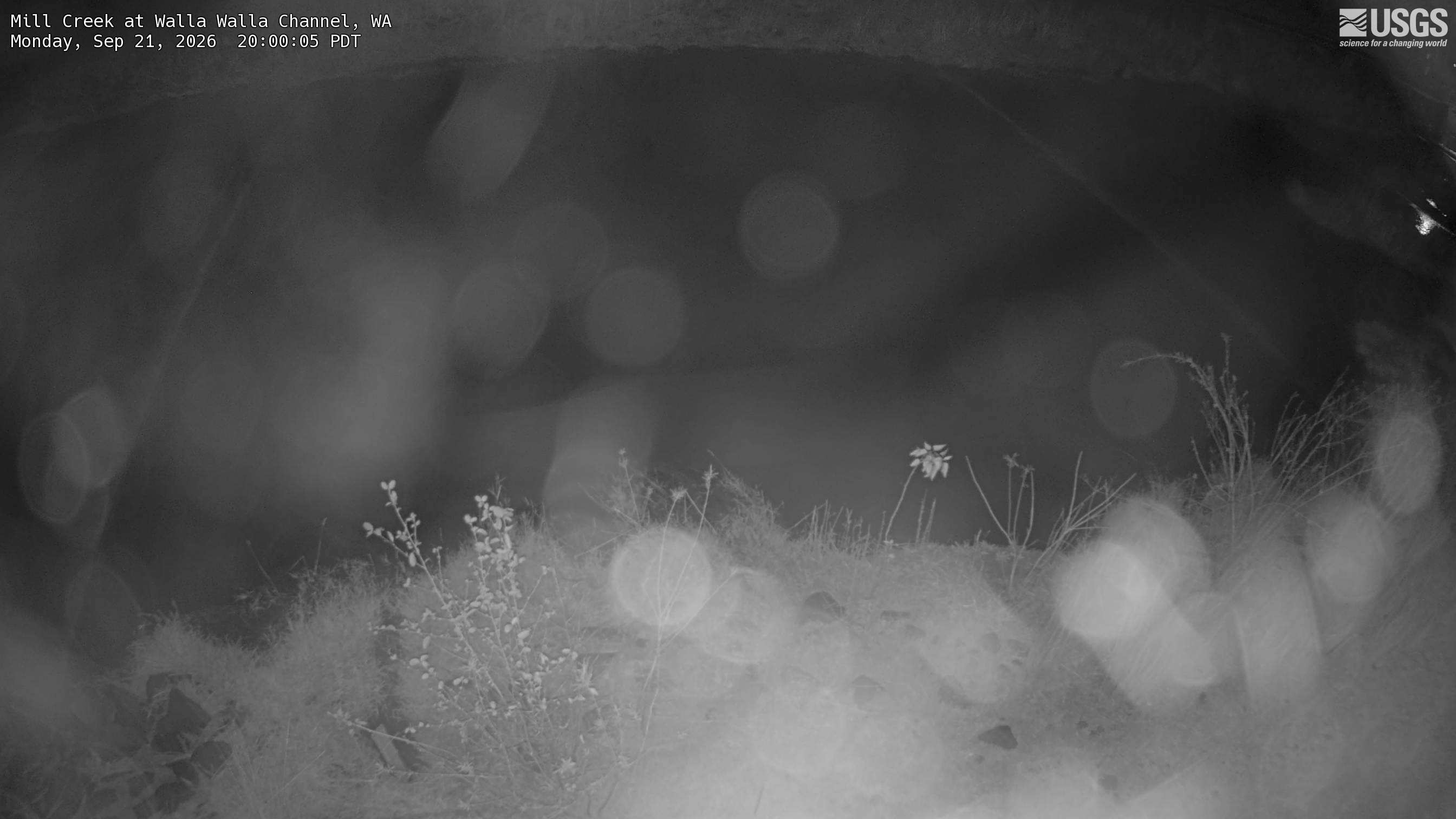 Most recent image at Mill Creek at Walla Walla Channel