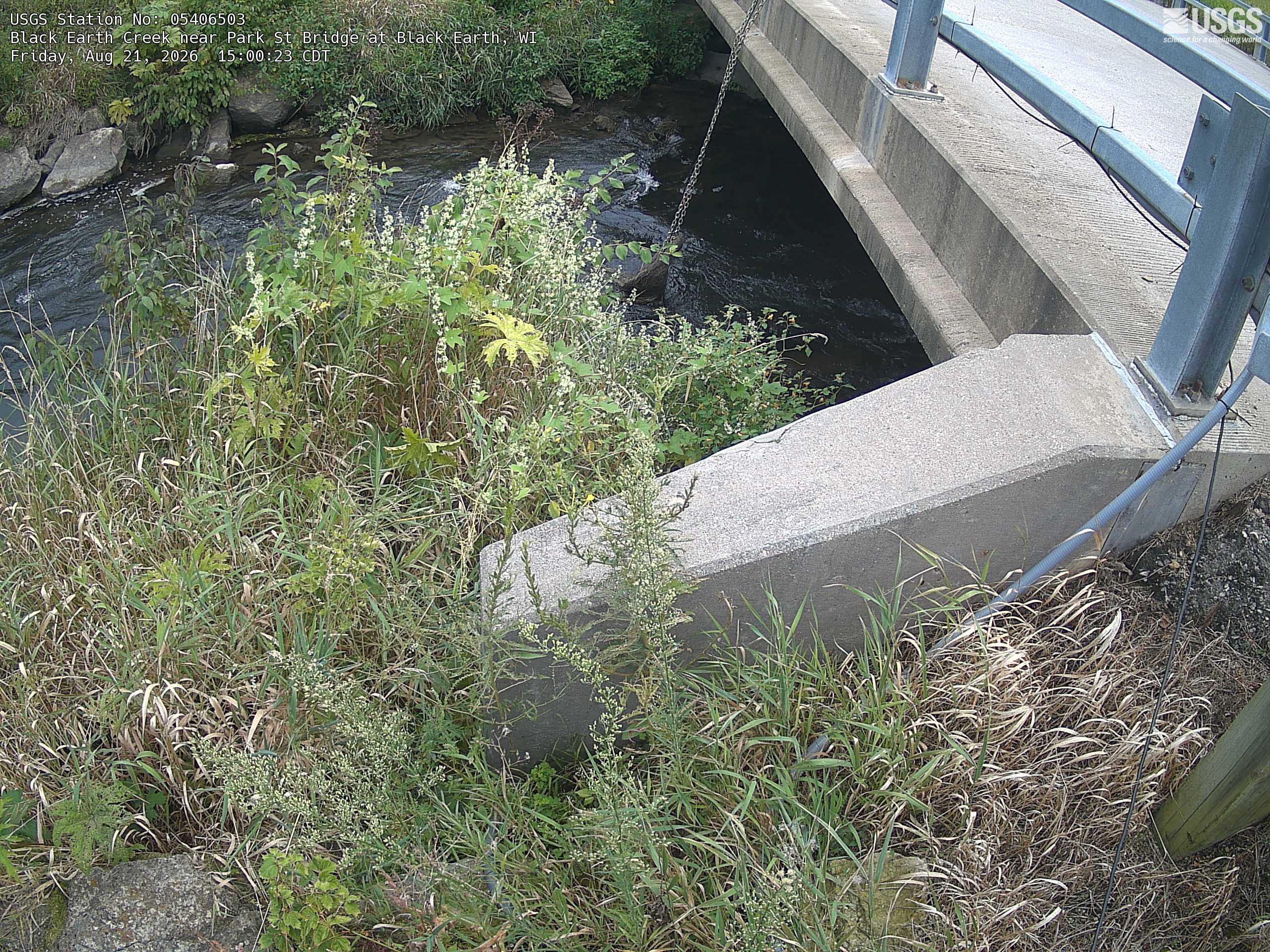 Most recent image at Black Earth Creek near Park St Bridge at Black Earth