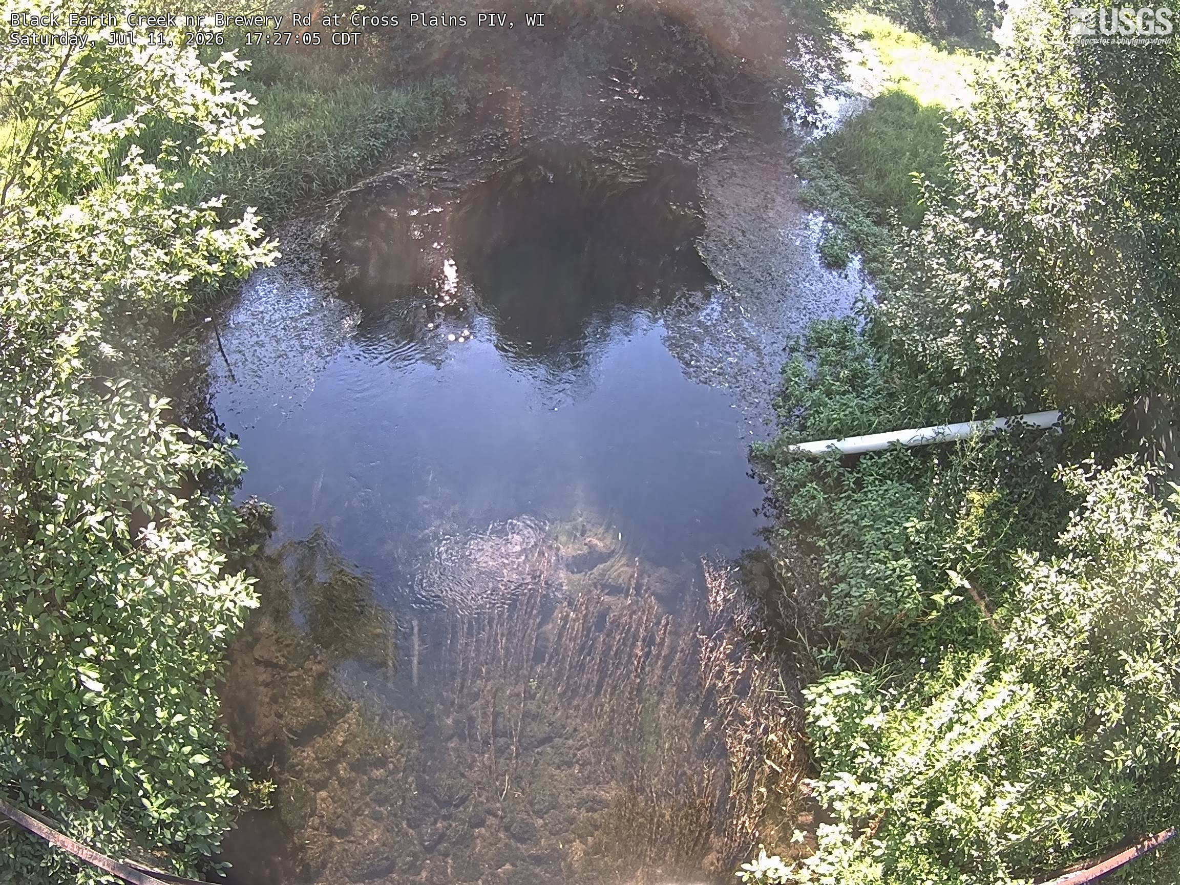 Most recent image at Black Earth Creek nr Brewery Rd at Cross Plains PIV