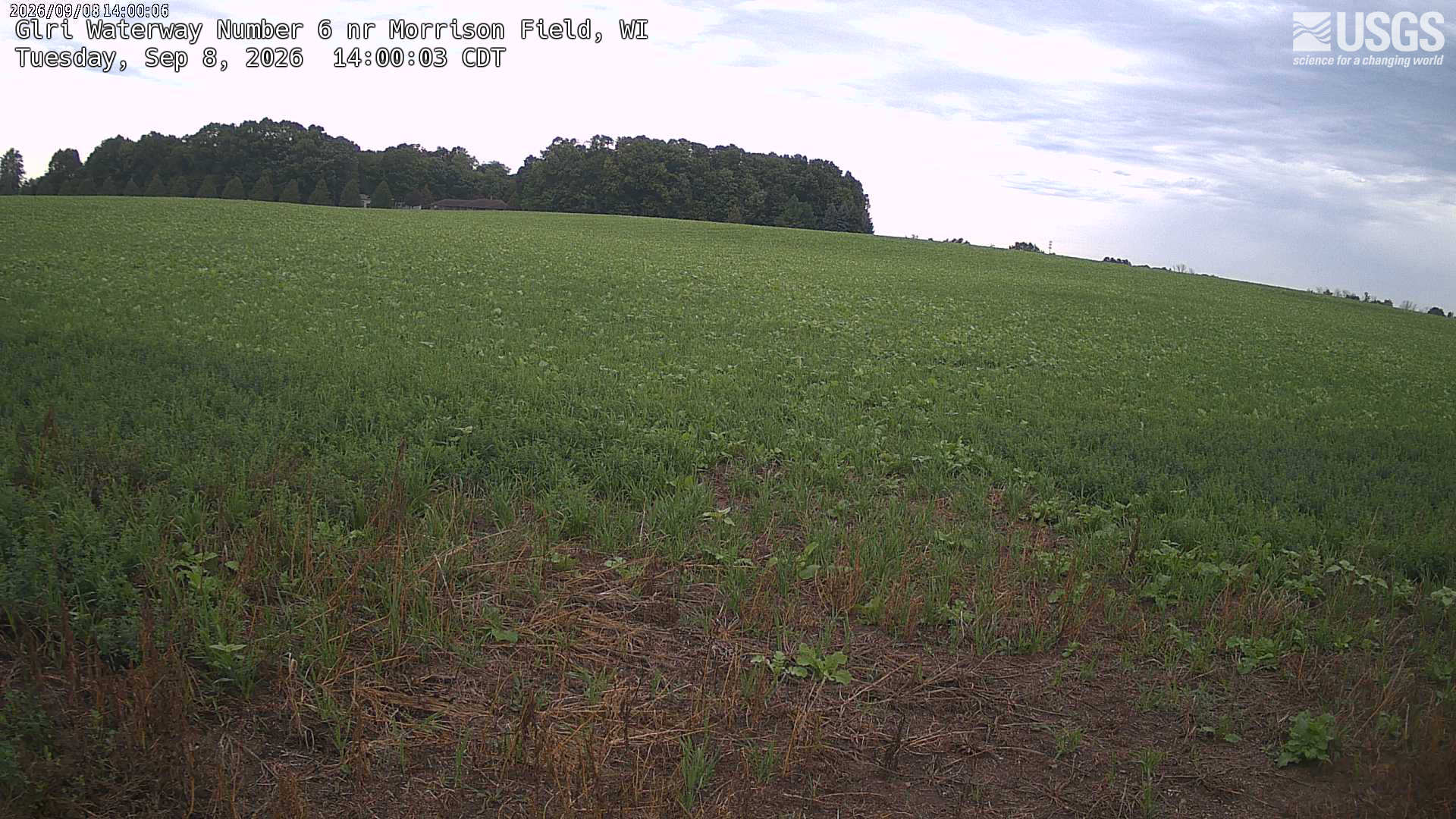 Most recent image at Glri Waterway Number 6 nr Morrison Field