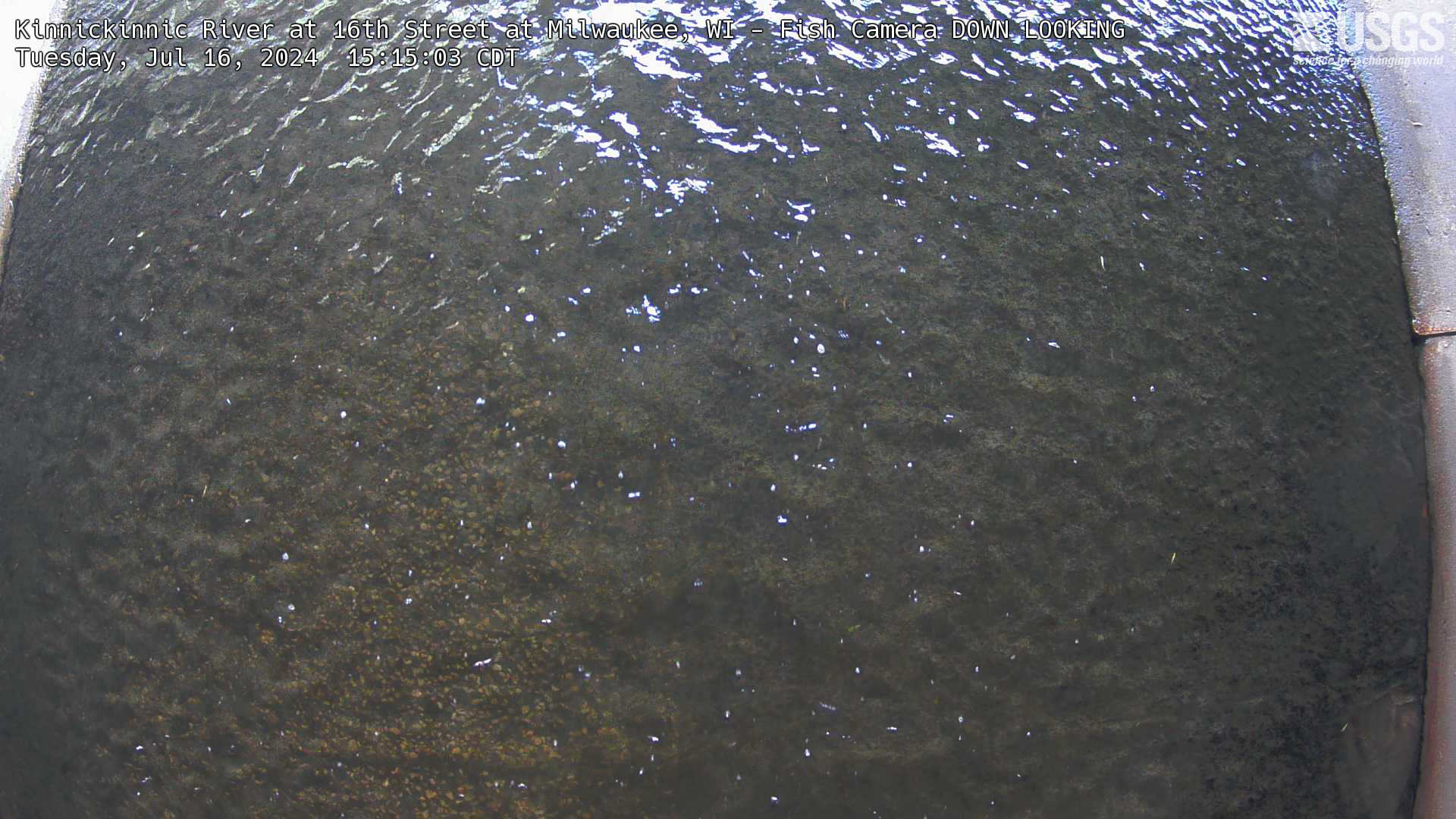 Time lapse video of webcam pointed directly down at surface of stream for fish monitoring