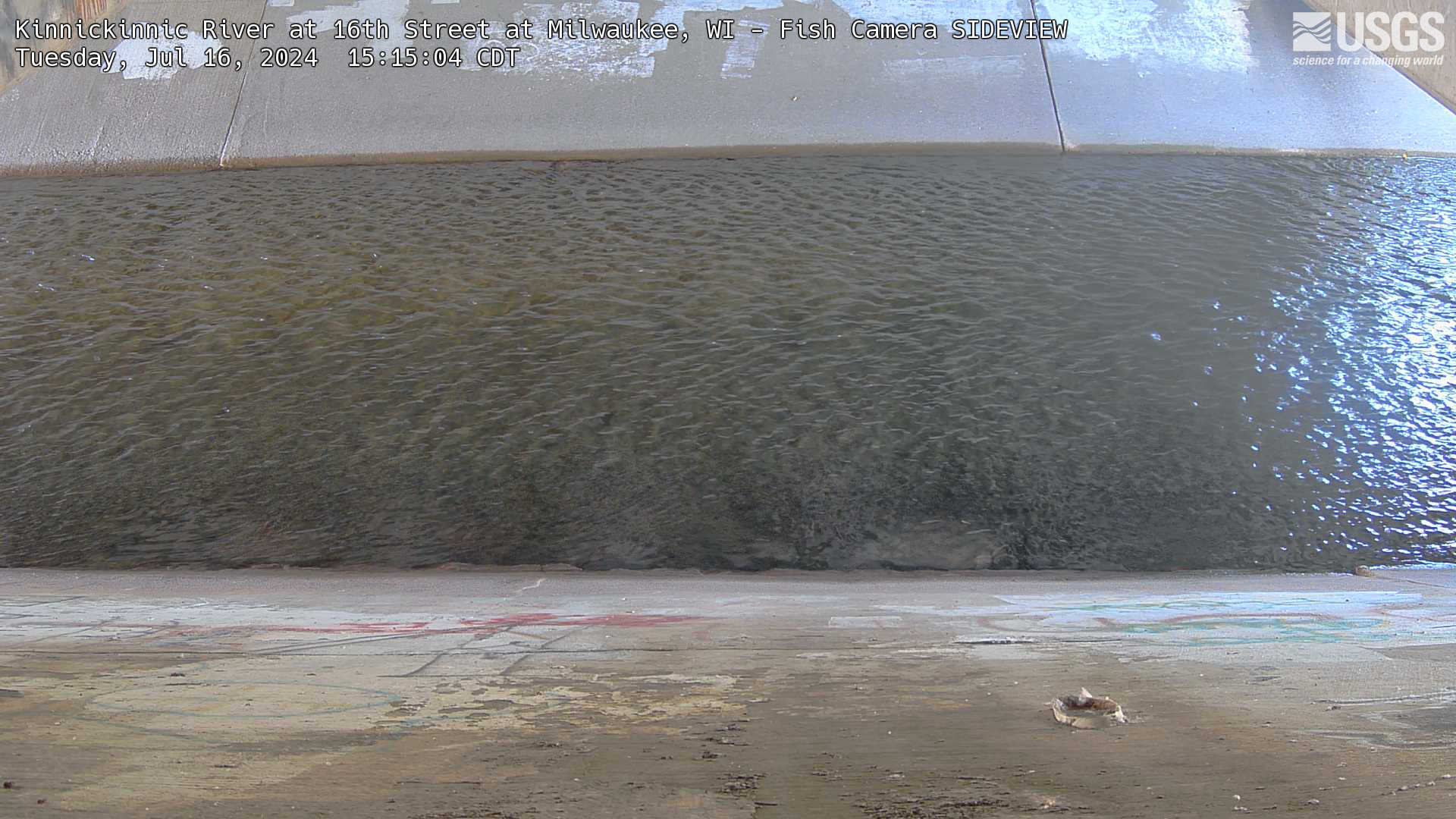 Time lapse video of webcam pointed at surface of stream from side, for fish monitoring