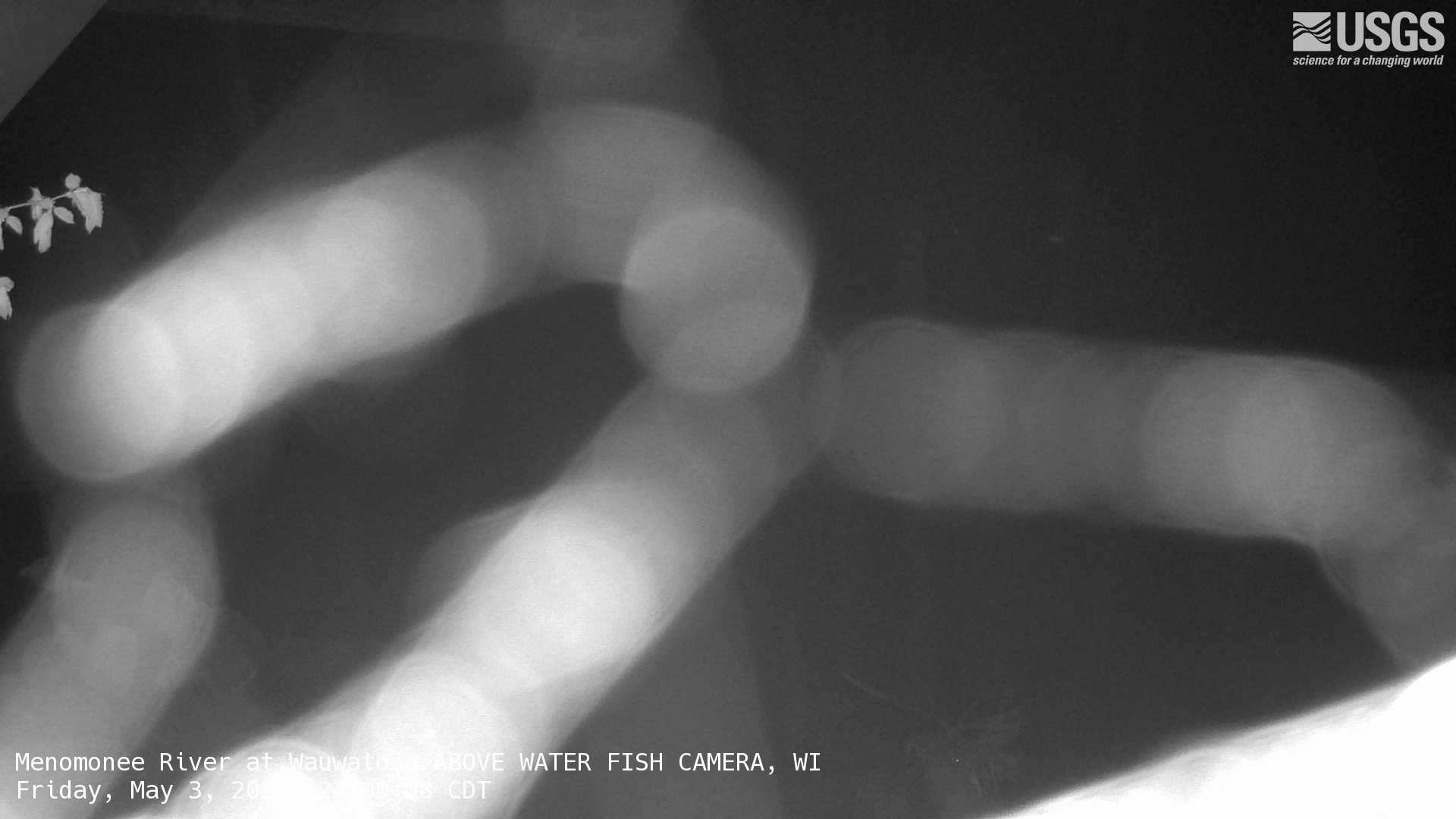 Color webcam image pointed to surface of stream for fish observation