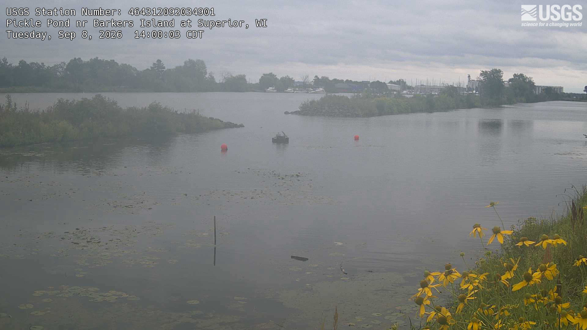 Most recent image at Pickle Pond nr Barkers Island at Superior