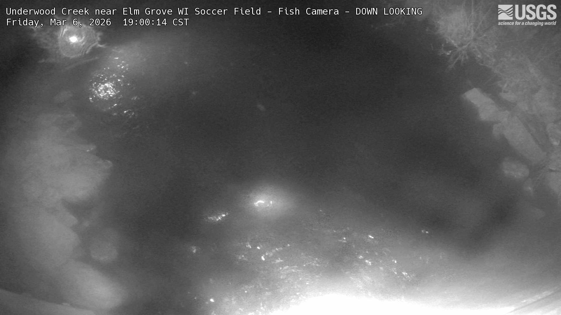 USGS HIVIS CAM Underwood Creek near Elm Grove Soccer Field DOWN LOOKING