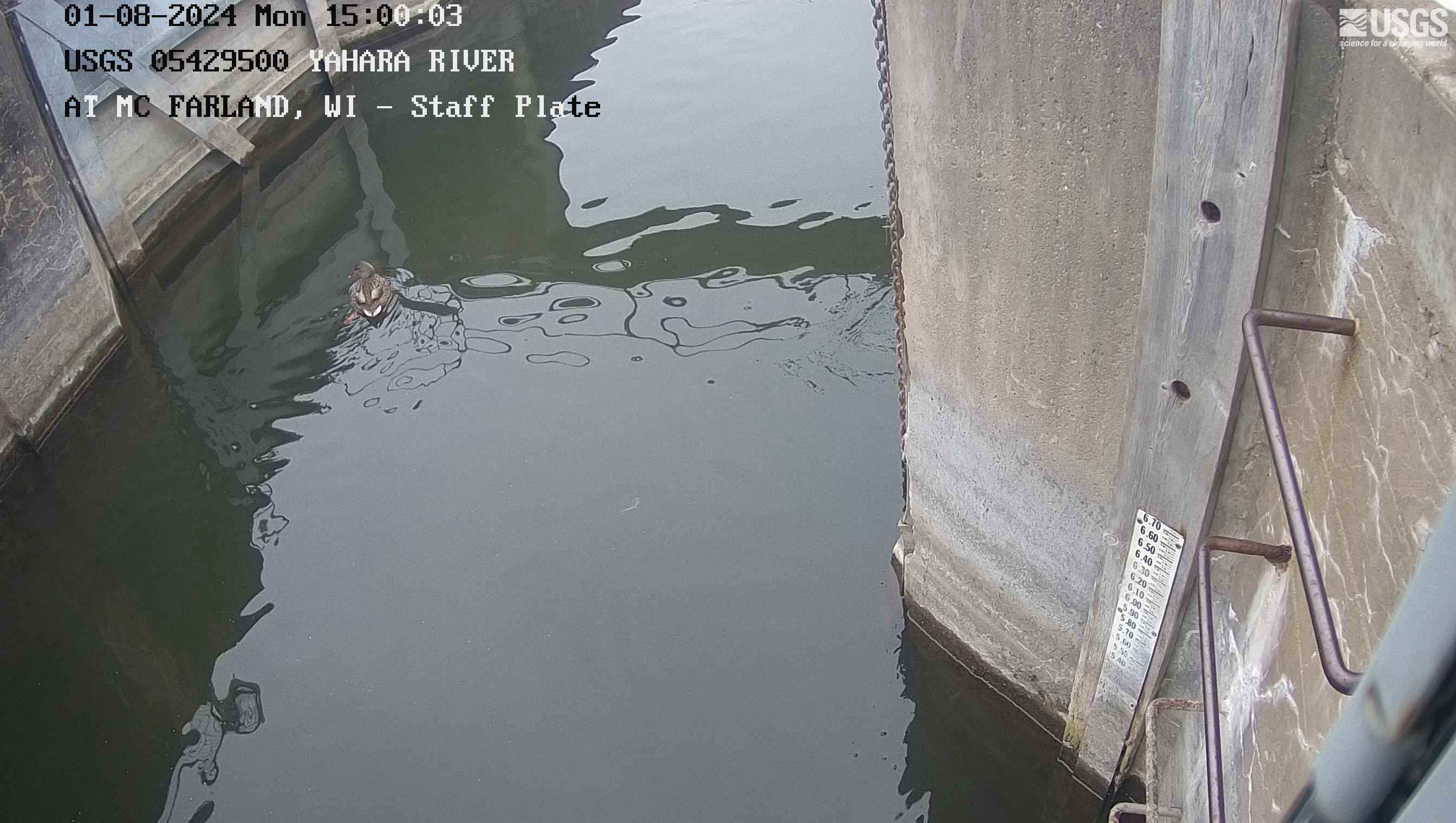 USGS HIVIS CAM Yahara River at McFarland STAFF PLATE