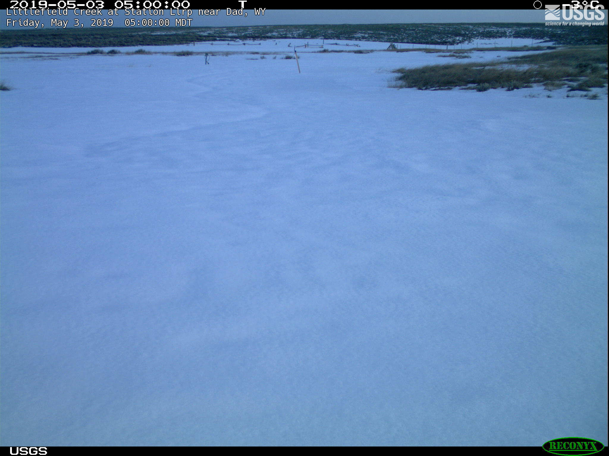 Most recent image at Littlefield Creek at Station Llrp near Dad