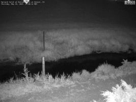 Latest image of Harvard Gulch at Harvard Park at Denver, CO