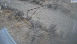 Latest still from Big Lost River below Inlet Diversion near Arco